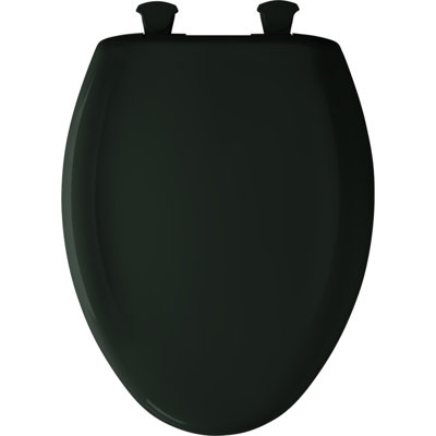 Elongated Toilet Seat and Lid
