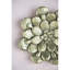 Plaque dorée succulente dorée - 1,6 po de largeur, 10 po de profondeur, de hauteur, de résine et de métal, 10 x 10 x 1,6 po de style Modern Home Design, rehaussant le style du décor-527344899