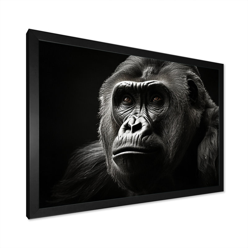 «Black and White Gorilla Majestic I» sur toile, H 30 po x l 40 po x P 1,5 po, Cadre photo noir