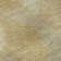 Premium Machine Washable Prisco Gold Rug