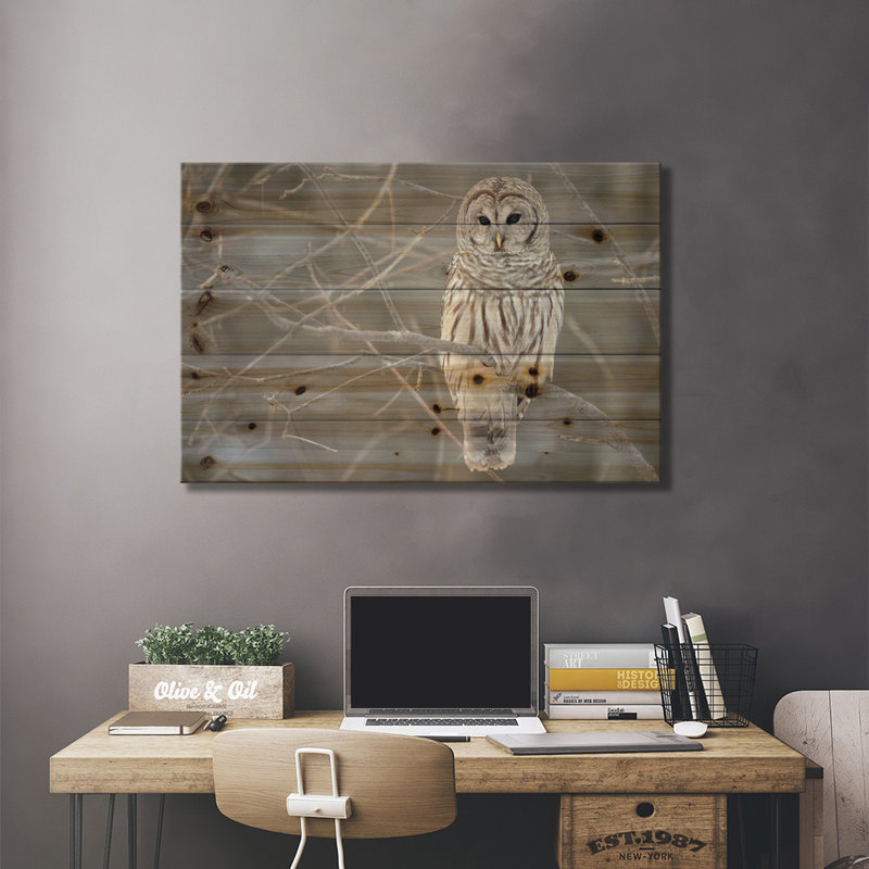 Chouette rayée sur branches - Impression sur bois sans cadre, L 26 po x H 18 po