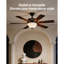 Ventilateur de plafond, ensemble de lumière de ventilateur en forme de bol de 750 lm et 3000 K avec chaîne de traction, 2 ampoules à DEL, luminaire de remplacement pour le salon, la salle à manger, la chambre à coucher, l'intérieur, abat-jour en verre blanc nickel brossé
