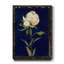 «Pretty As A Peony II», reproduction sur papier encadrée-1283887599-1283887584