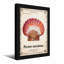 Motif de coquillage d'animaux-250643618-250643644-250643645