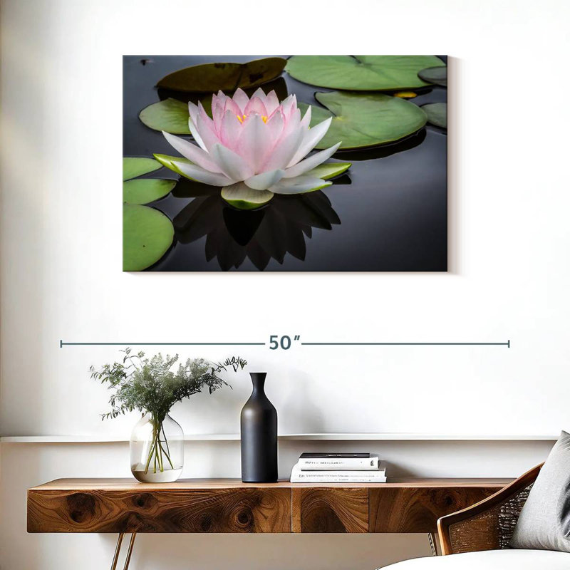 Lotus blanc rosé Harnek, H 24 po x l 36 po