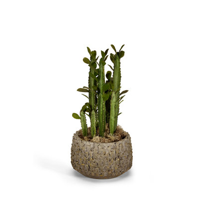 Faux Cactus Succulent in Clay Pot