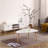 EGG SHAPE COFFEE TABLE