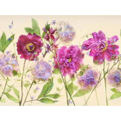 Peonies, Campanulas, And Variegated Gladiolas Print by Harold Davis