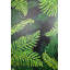 Ferns Painting by Sie Douglas-Fish