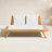Lavinia 65" Outdoor Wooden Loveseat with Cushions-1258016709