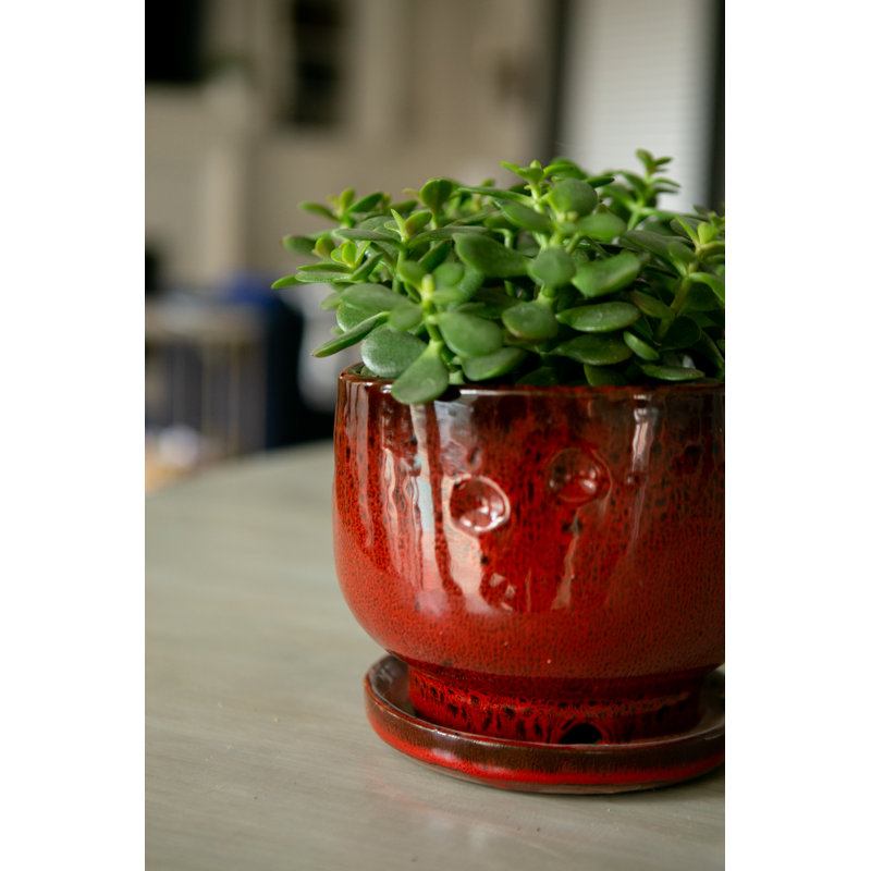 5.5 in. Pena Floral Pot - Tropical Red, 5.5 in., Tropical Red