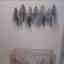 Photos des clients 1 de 2