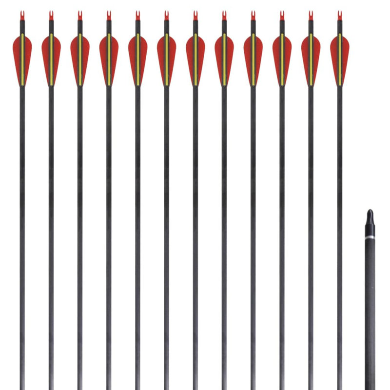  Standard Recurve Bow Arrows 30" 0.3 " Carbon 12 Pcs