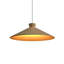 Conical 1 - Light Pendant-337063393