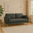 Modern Minimalist 2-Seater Sofa