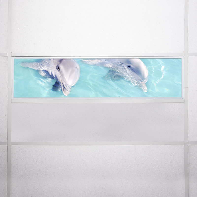 Ocean Rectangle Fixture Component Ceiling Light