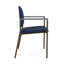 Chaise d'invité Chat Chat-98671300-98882111