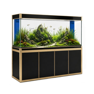 Rectangle Aquarium Tank
