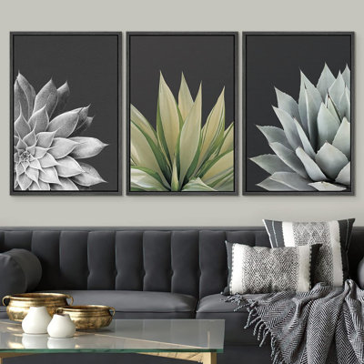 «Trio Of Echevaria Succulents Floral Plants», reproduction sur toile 3 pièces