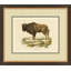 Bison 2 Print