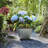 Pot Planter