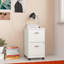 Classeur vertical mobile 2 tiroirs Adelmis