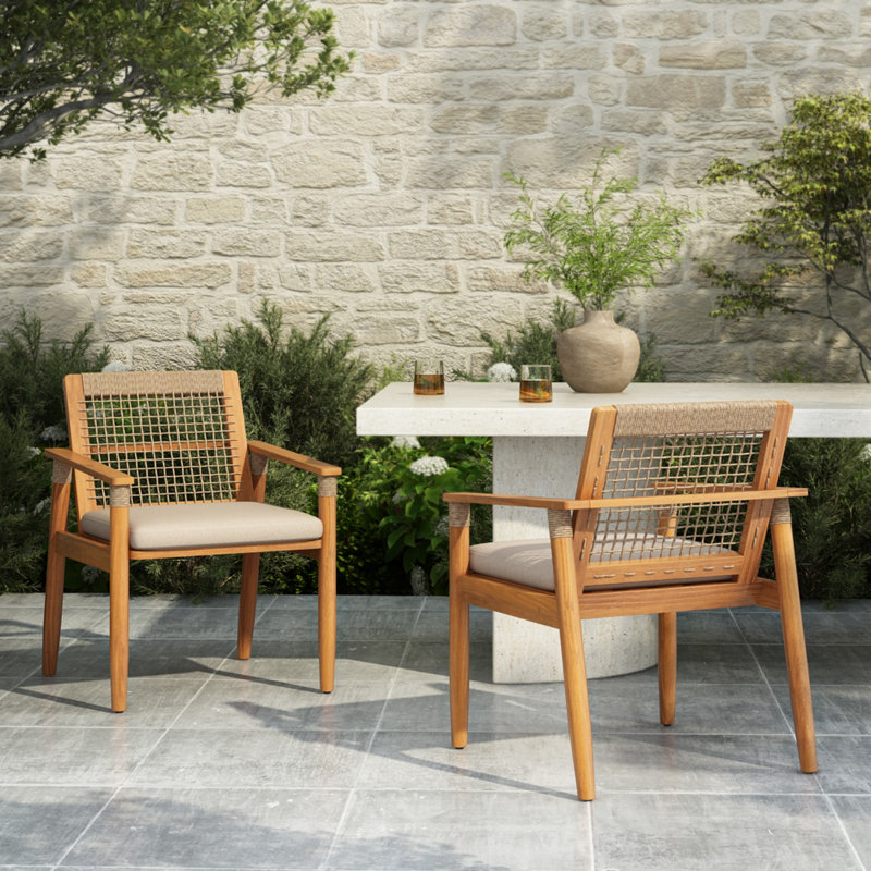 Chaises de salle à manger d'extérieur, fauteuil de patio, pour cour, piscine, jardin, ensemble de 2
