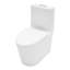 Toilette moderne une pièce allongée avec double chasse 1,24 / 1,6 GPF, siège à fermeture rapide à fermeture en douceur, siphon à jupe facile à nettoyer et installation brute de 12 po