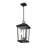 Bourke 2 - Light Outdoor Hanging Lantern-1683147482