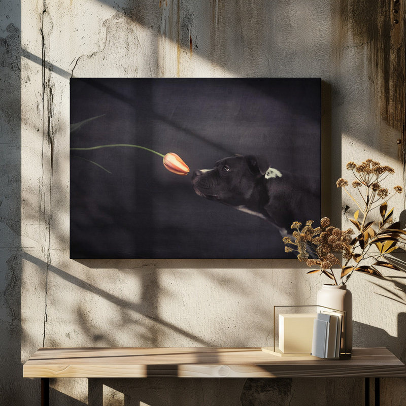 Wrapped Canvas Print, 60.96 cm H x 91.44 cm W