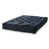Indigo est en rupture de stock
