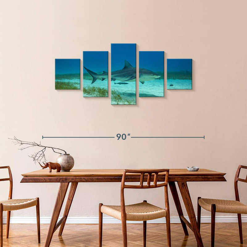 Habitat de requin taureau