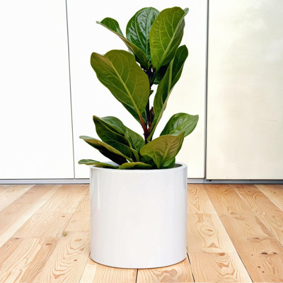 12 Inch Planter - Premium Lightweight Fiberstone Matte White Planter; Large Indoor Planter and Outdoor Planter