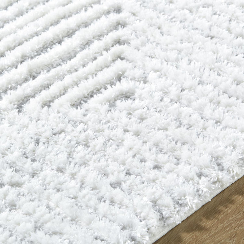 Tapis lavable à la machine Kellen, Rectangle 5 pi 3 po x 7 pi