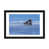 Framed Paper n'est pas disponible