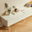 Thanvir-1723618876