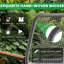 Outdoor Lounge Chair-295468635-295468632