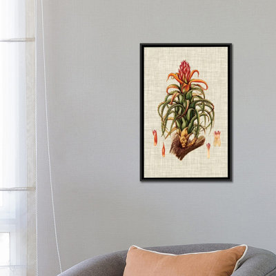 « élégant tropicals iv », reproduction d’impression sur toile tendue