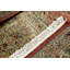 Wool Oriental Area Rug in Rust/Beige