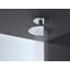 ShowerSolutions Showerhead 250 2-Jet Ceiling Connection-71600185-90864077