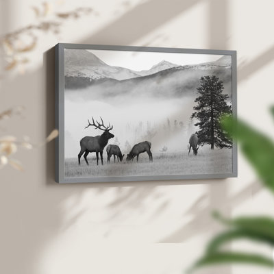 Mountain Elk -Framed Print - Restickable