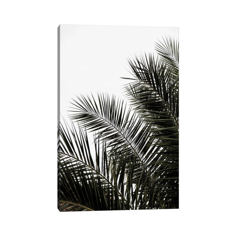 Palm Leaves III by Mareike Bohmer - Wrapped Canvas Print, 20.32 cm H x 30.48 cm W