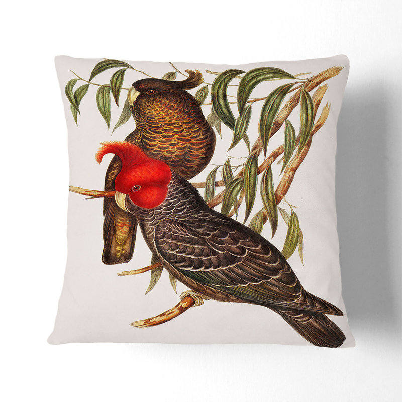 Square Throw Cushion, Black, 40cm H x 40cm W x 15cm D