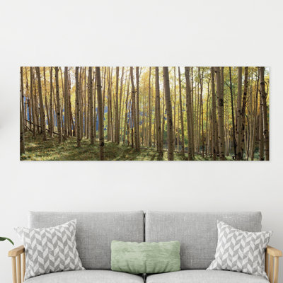 « sunlit colorado trees », reproduction de photo sur verre