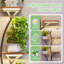 Plant Stand