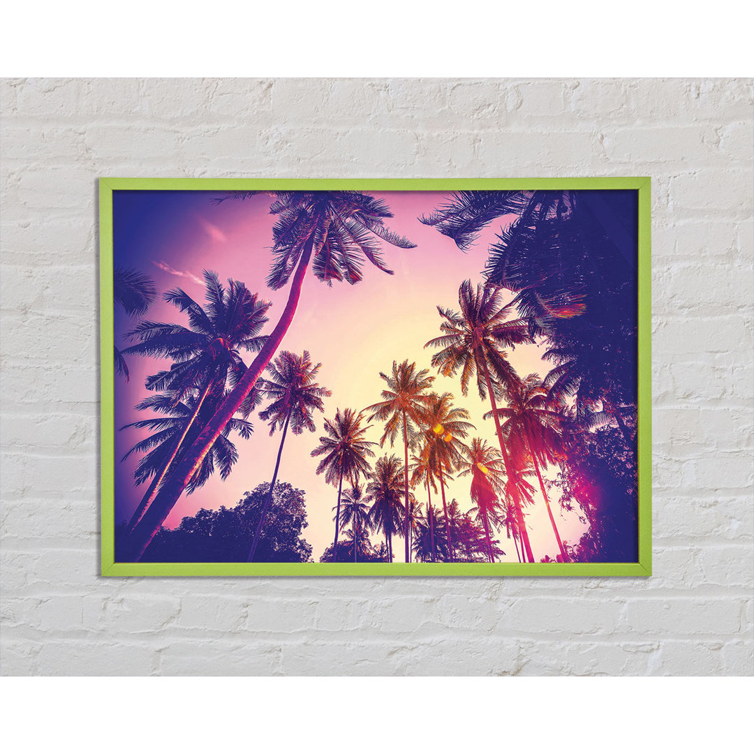 Alens Palm Tree Glow - Einzelner Bilderrahmen Kunstdrucke