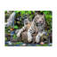 « two white tigers », reproduction de peinture à l’acrylique sur toile tendue-26855527
