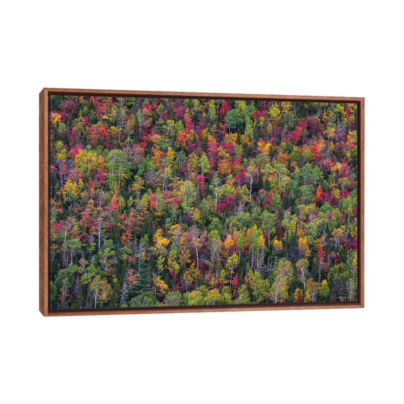Colour Palette by Miroslaw - Floater Frame Print on Canvas
