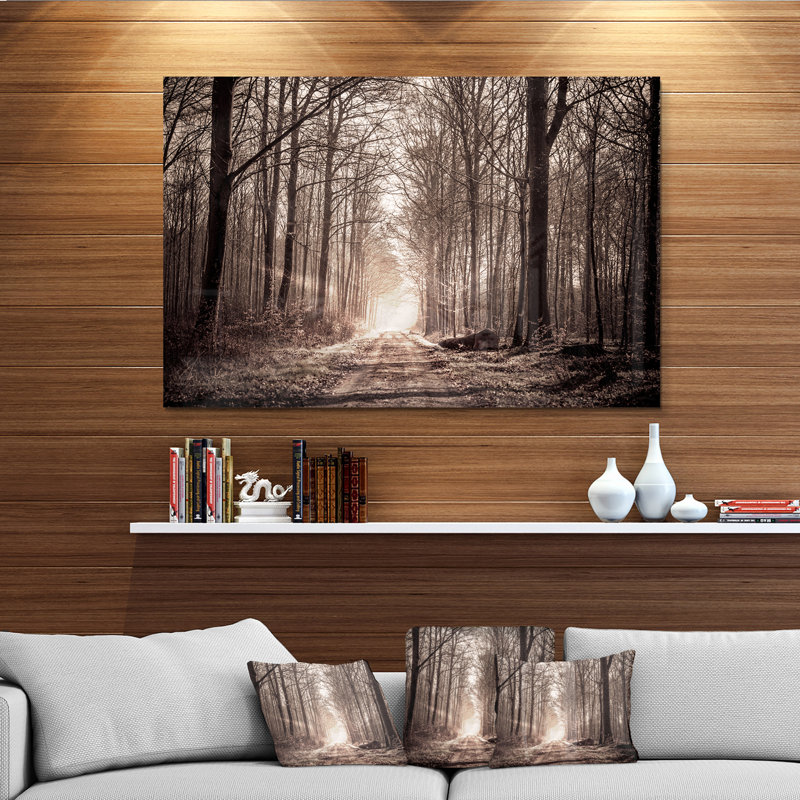 «Forest Trail in Sepia», reproduction de photo sur toile tendue, H 34 po x l 44 po x P 1 po, Métal métal