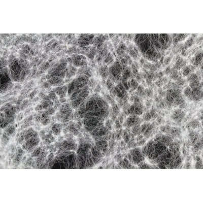 Sybilla Web - Wrapped Canvas Print